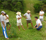 Dia de campo sobre pastoreio rotativo na comunidade São Sebastião, Cerro Azul-PR nejos tradicionais que, no atual contexto, têm levado ao esgotamento da fertilidade natural dos solos e à degradação