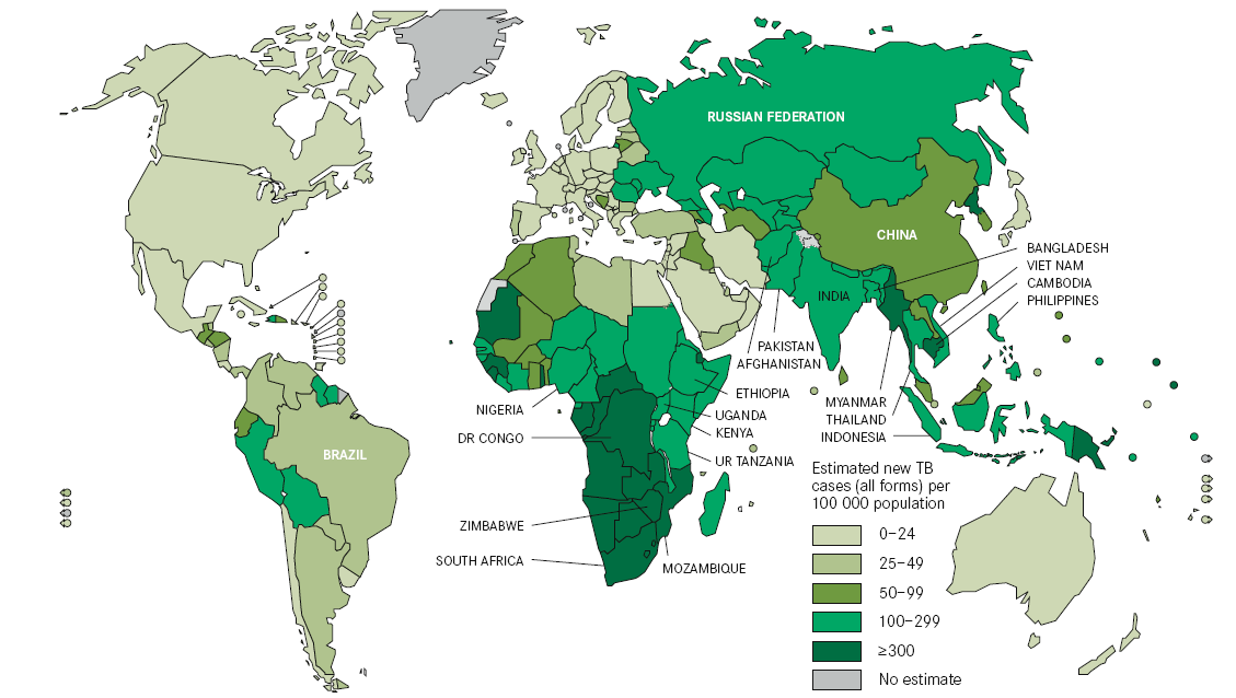 1.1.1 Epidemiologia da doença As estimativas da carga global de doenças causadas por TB, em 2010, foram de 8,8 milhões de casos incidentes (equivalente a 128 casos por 100.