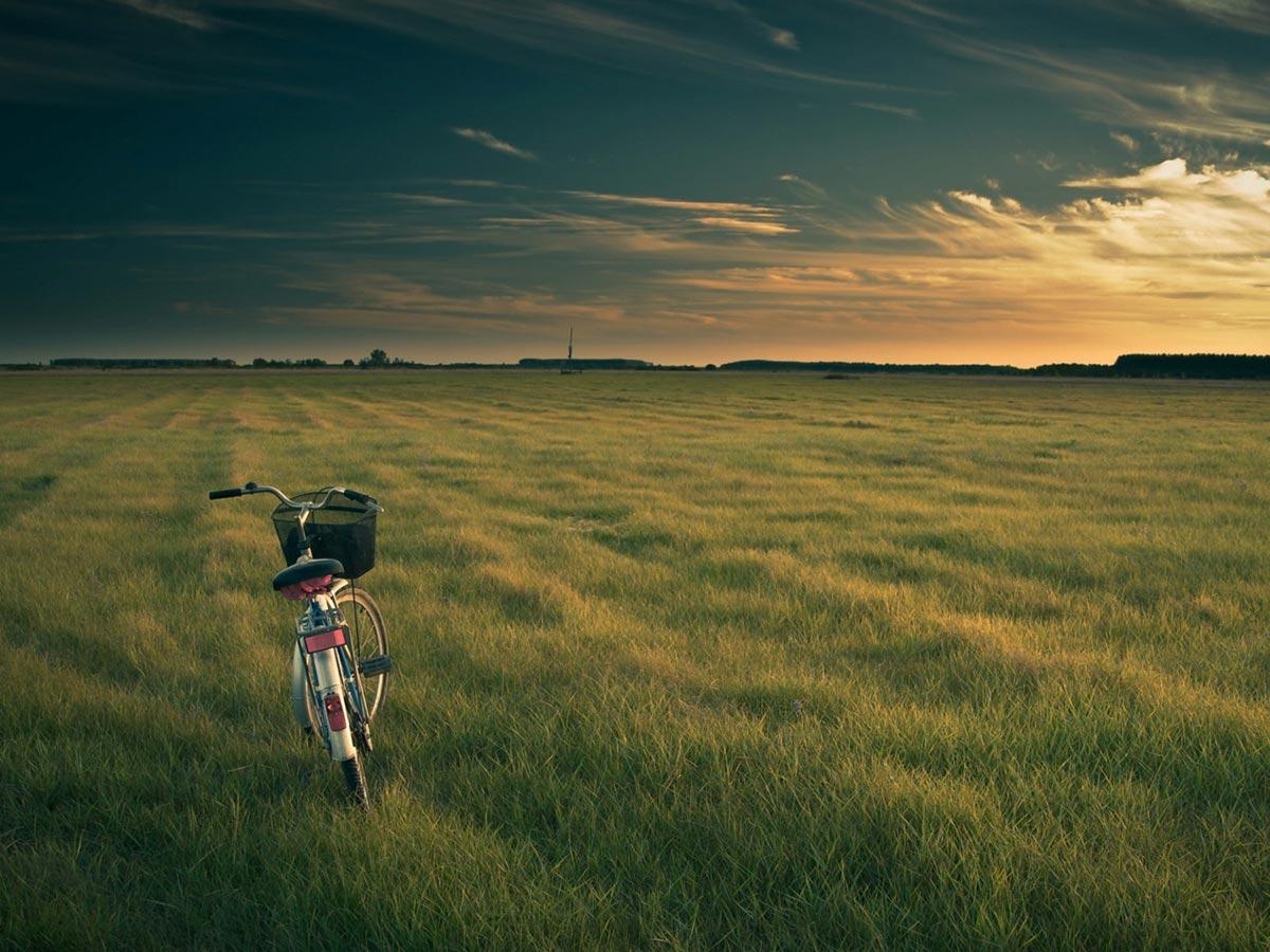 SUSTENTABILIDADE Inspirar a transformação sustentável, gerando soluções