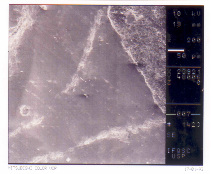 evaporação de CO 2 vindo da reação (C + O CO 2 ) do grafite da superfície externa do cadinho com o oxigênio do ar, era formado durante o aquecimento do mesmo.