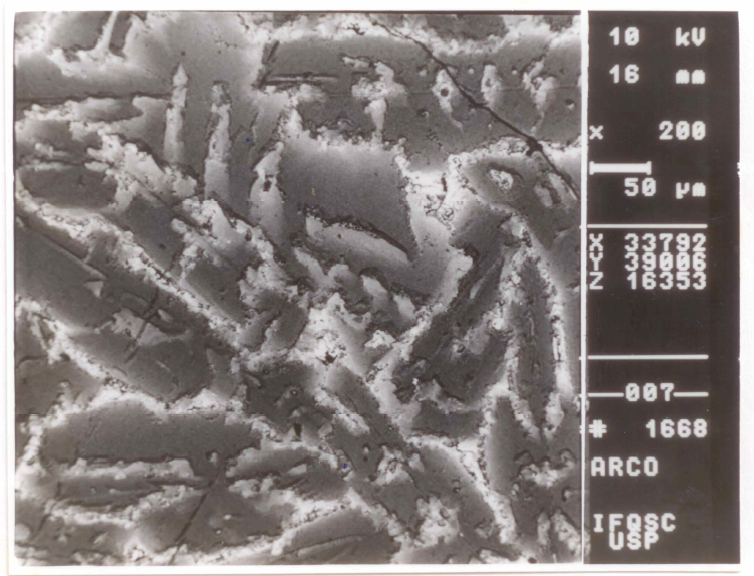 Figura - 8.7 Micrografia do fundido por Arco-Voltaico. Aumento 200X, mostrando as diferentes composições químicas (ou densidades) pelos tons de cinza (Imagem obtida por elétrons retroespalhados).