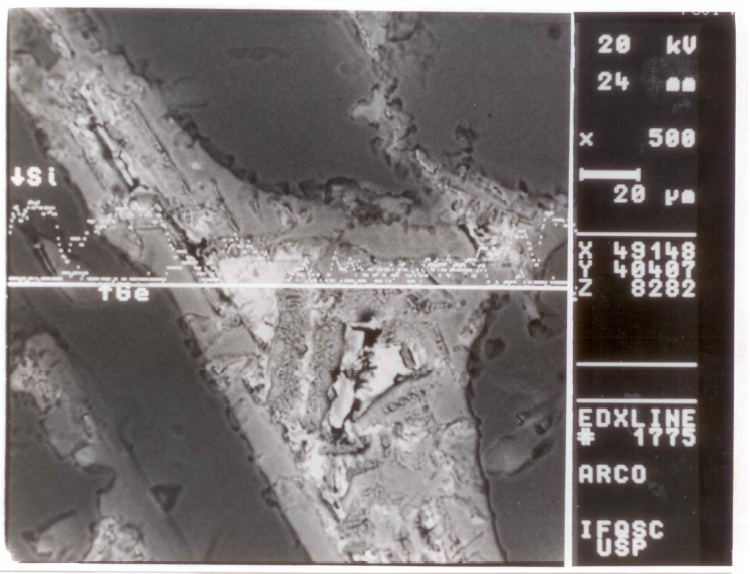 Figura - 8.9 Micrografia do fundido por Arco-Voltaico; Aumento 500X, mostrando os perfís de concentração de Si e Ge sobre uma microestrutura dendrítica (Imagem obtida por elétrons retroespalhados).