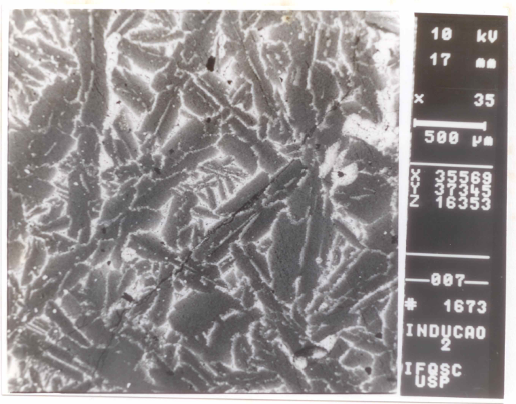 Análise metalográfica da liga As amostras obtidas por esta técnica também foram observadas no microscópio eletrônico para uma análise metalográfica qualitativa preliminar, onde foram encontrados os