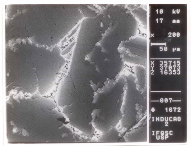 Figura - 8.13 Micrografia do crescimento dendrítico, mostrando as diferenças entre as fases de silício e germânio.
