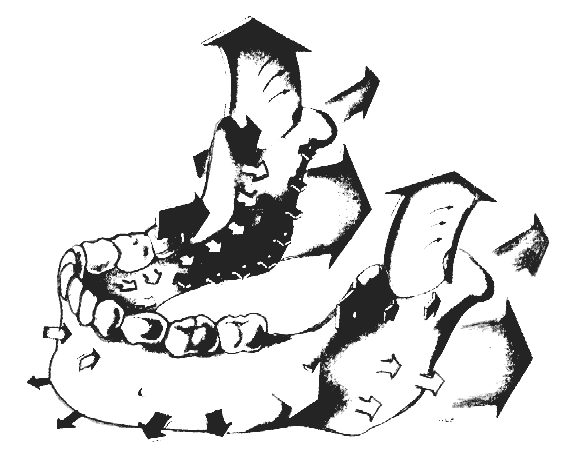 17 4.5) Crescimento Mandibular Na mandíbula, que é o único osso móvel da cabeça, não há crescimento intramembranoso aposicional sutural, apenas aposicional de superfície e endocondral.