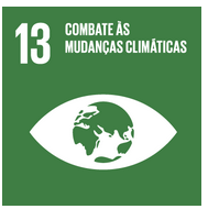 Reduzir a desigualdade dentro dos países e entre eles Tornar as cidades e os assentamentos humanos inclusivos, seguros, resilientes e sustentáveis.