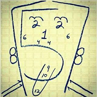 NERVOS ANATOMIA 12 NERVOS