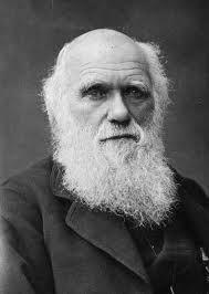 A origem do Homem Várias teorias científicas e religiosas Charles Darwin (1809/1882) Evolução das