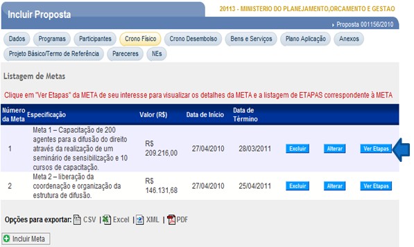 Continue preenchendo os dados de todas as etapas, até aparecer a informação no sistema em forma de