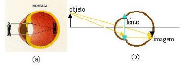 34 1.13)Equação das lentes 1.