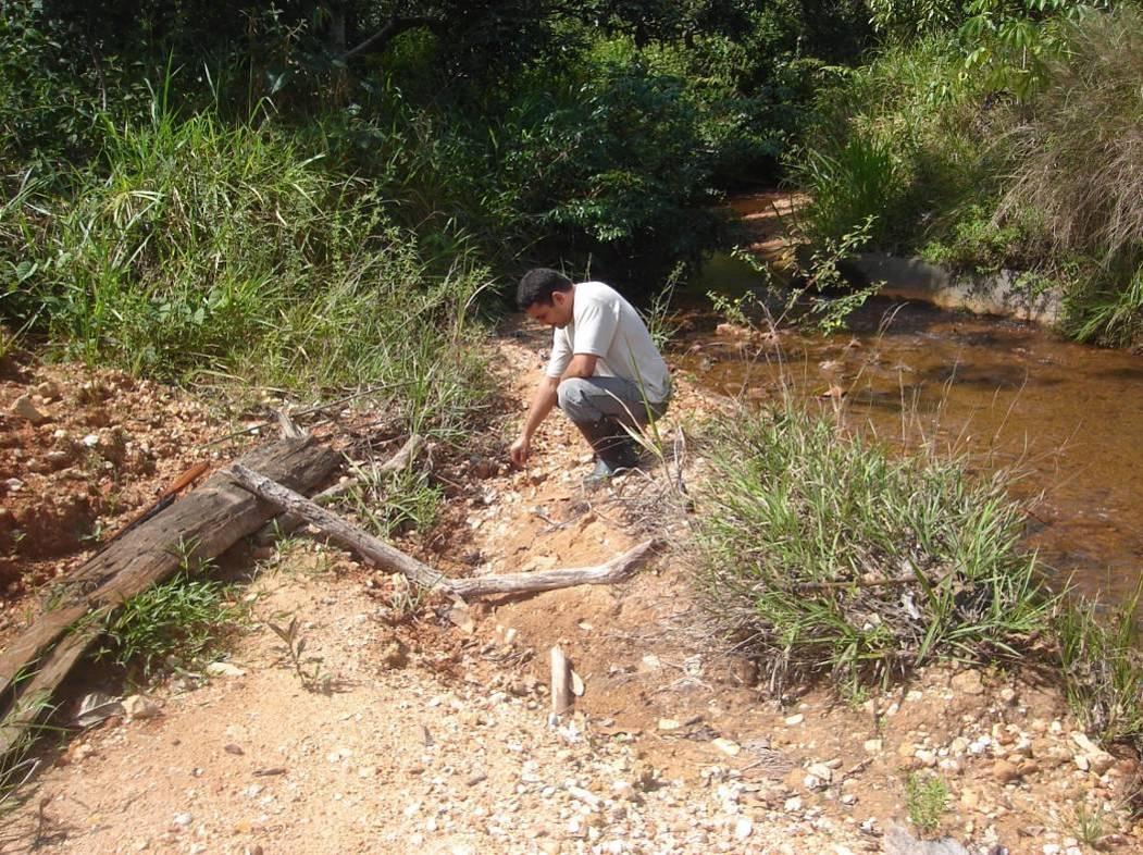 373 Foto 10 - Ponto de vistora 4, área de visibilidade do solo próximo a