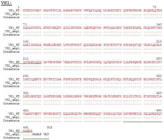 Anexo 7.1. Análise de homologia das sequências dos diferentes genes clonados nos vetores pecfp e peyfp.