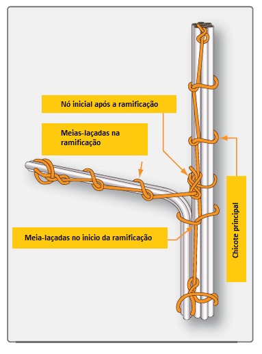 Ela é continuada ao longo do grupo de fios ramificados, usando meias-voltas regularmente espaçadas. Se for usado o cordão duplo, ambos os cordões devem ser mantidos apertados juntos.