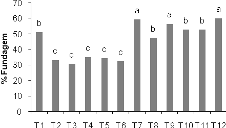 56 (A) (B) (C) (D) (E) (F) (G) Figura 11 Comparação das médias em porcentagem, para cada classificação por peneiras individualmente: moca 12 (A), moca 11(B), moca 10 (C), chato 17 (D), chato 15 (E),