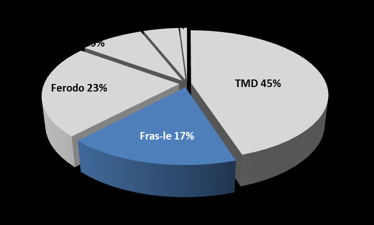 Cenário Comercial Market Share Montadoras (Brasil/Ano base 2013) Forte presença no mercado de montadoras.