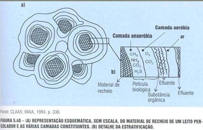 Atividade biológica do método: Processo na película é