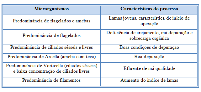 Tabela 5 - Microrganismos indicadores das condições de depuração [28] 1.3.