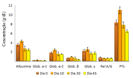 Tabela 19: Valores do proteinograma ao dia 0 e 65 nos gatos FeLV +.