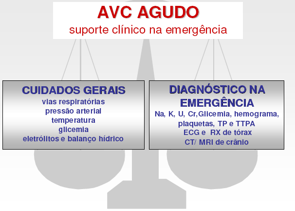 6. Programa de Atendimento Integrado FASE I 6.1 Pré-hospitalar e Sala de Emergência do Pronto-Atendimento do HSL A.