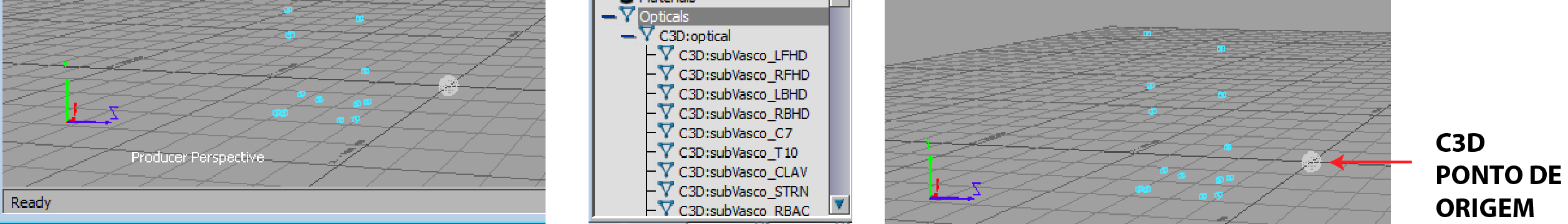 Na janela Navigator, é possível selecionar o item Opticals, onde se vêem todos os marcadores existentes bem como a referência à base o cloud data, o C3D:optical. Fig 2.