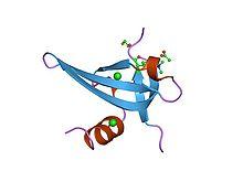 DNA-biding protein) INO80/SWR1 (INOsitol requiring 80/ SWI/SNF Related