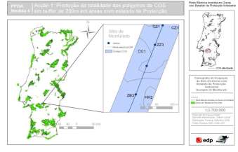 GESTÃO DE CORREDORES DE LINHAS ELÉCTRICAS ÂMBITO GERAL Objectivos Minimizar os impactes dos corredores de linhas eléctricas e melhorar a biodiversidade característica das faixas de protecção dos