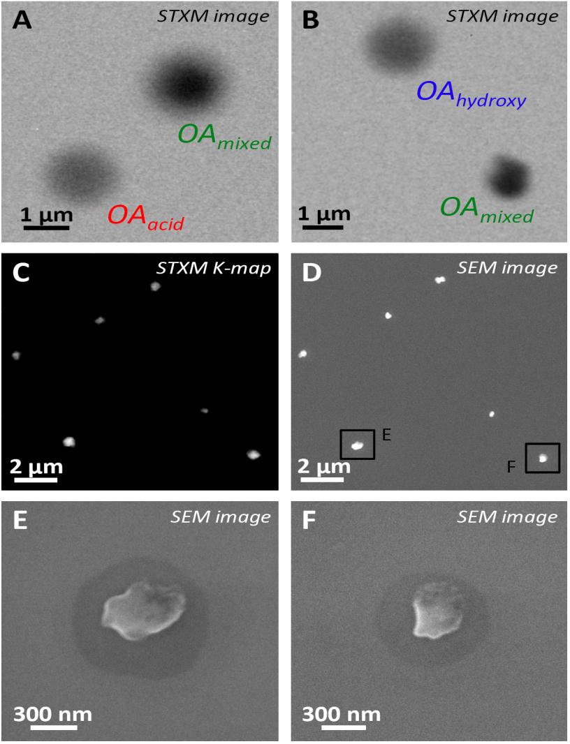 Biogenic potassium salt particles as seeds for secondary organic aerosol in the Amazon STXM-NEXAFS