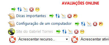 Após clicar em Salvar e voltar à disciplina verifique na página principal da disciplina o novo link que apareceu. Note os ícones que surgiram em frente ao novo Site.