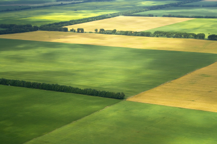 Tipo de cultura Zoneamento agrícola de risco climático Produtividade estimada Condições de manejo da lavoura (plantio, tipo de solo, sementes, adubação, irrigação, etc).