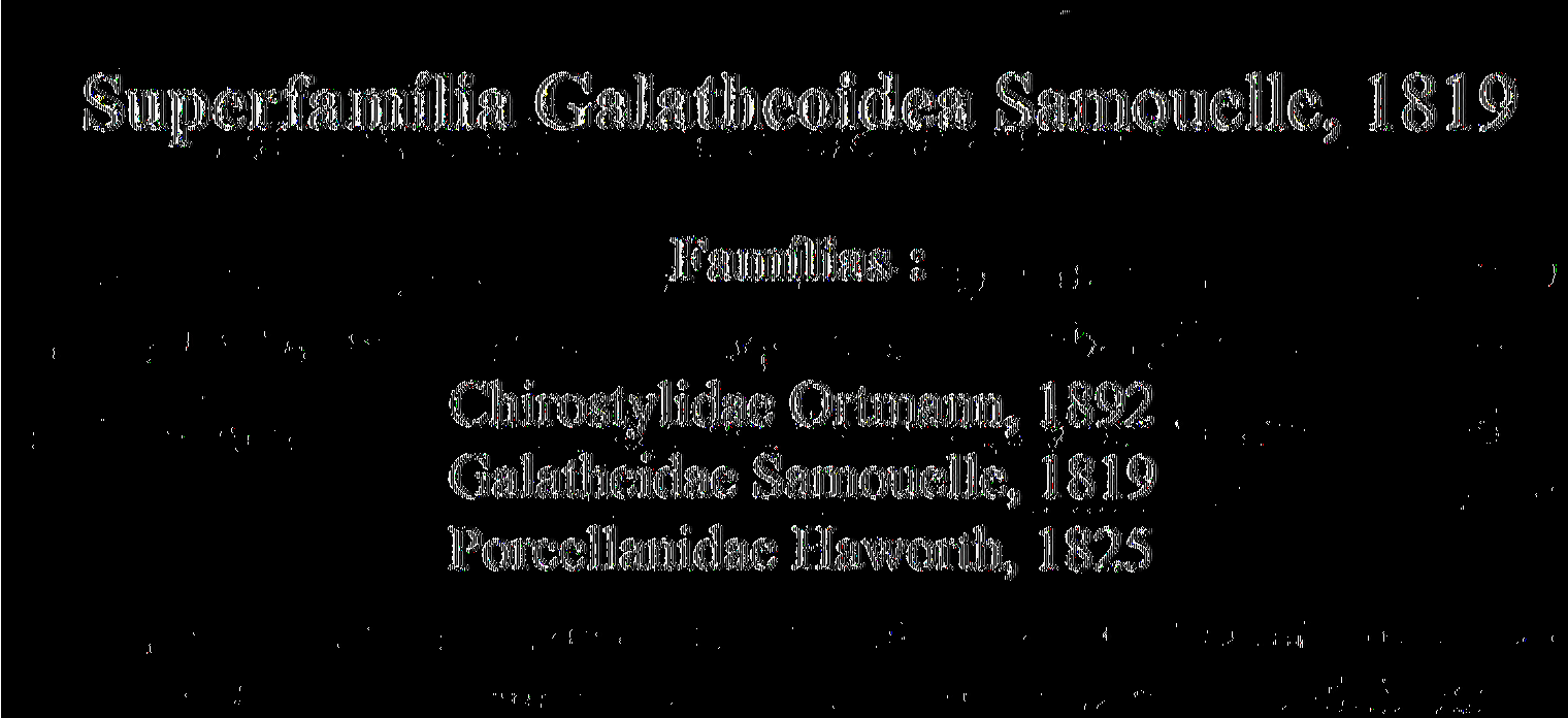 Superfamília Galatheoidea Samouelle, 1819 Famílias : Chirostylidae