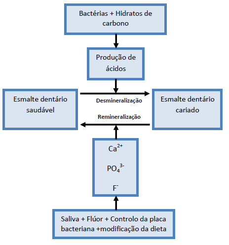 Dependendo da ação de fatores patológicos ou de proteção e do balanço dessa ação dinâmica, desencadeiam-se fenómenos sucessivos de desmineralização e (2, 9, 25) remineralização, com consequente