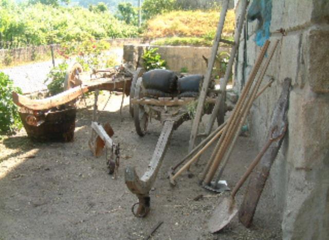 Agricultura Subsistência: Técnicas arcaicas como o uso de queimadas, gerando o esgotamento