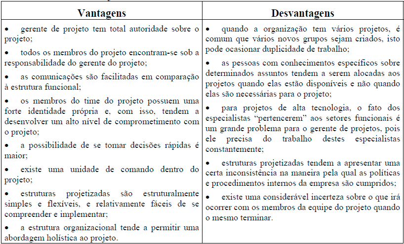 15 Tabela 3: Estrutura Projetizada. Fonte: MEREDITH, J. R. Gerenciamento de Projetos, 2003, p.21. 1.1.3 Matricial Valeriano (2001) afirma que este modelo organizacional é caracterizado por combinar os benefícios das estruturas funcional e projetizada.