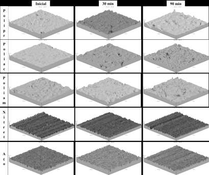 3. RESULTADOS Na Figura 3, observa-se a comparação da rugosidade antes e depois de 90 min de micro-abrasão.