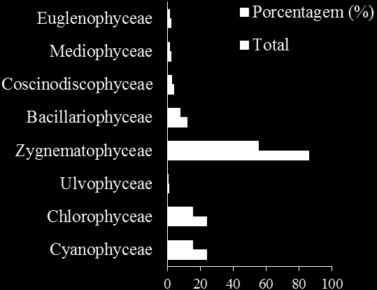 47 Figura 8: Distribuição dos táxons em divisões e classes identificados na pesquisa.