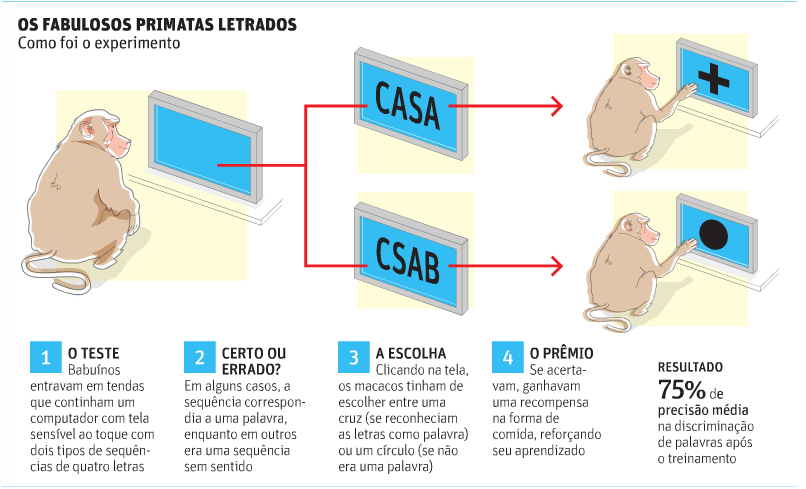 Texto para as questões 29 e 30. Babuíno aprende a ler em experimento Babuínos não falam inglês, é óbvio.