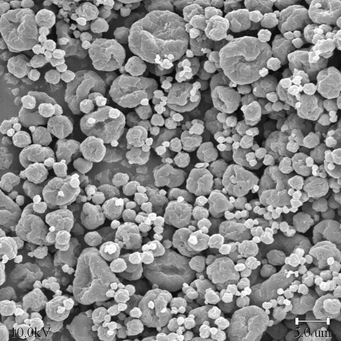 O.D. Liberação controlada de fármacos utilizando biopolímeros Burkholderia I PT 64 Fermentação Lise enzimática Spray dryer 5 4,5 4 3,5 3 2,5 2