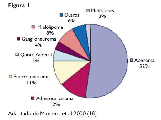 INCIDENTALOMA - Massa encontrada acidentalmente na supra renal (SR) através de um exame de imagem Massa >1 cm em exames não dirigidos à SR; Excluído doença maligna ou suspeita de patologia da SR.