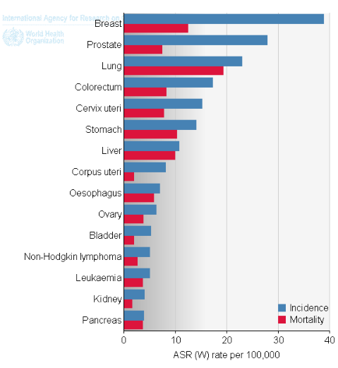 1. Introdução 1.1. Epidemiologia do cancro da mama O cancro da mama é o tipo tumoral mais frequentemente diagnosticado no sexo feminino (figura 1) sendo a principal causa de morte por cancro na