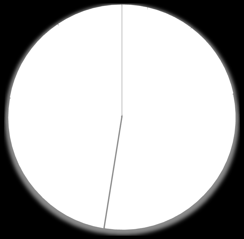 aeruginoisa Staphylococcus spp Acinetobacter spp Outros E. coli Enterobacter Klebsiella spp P.