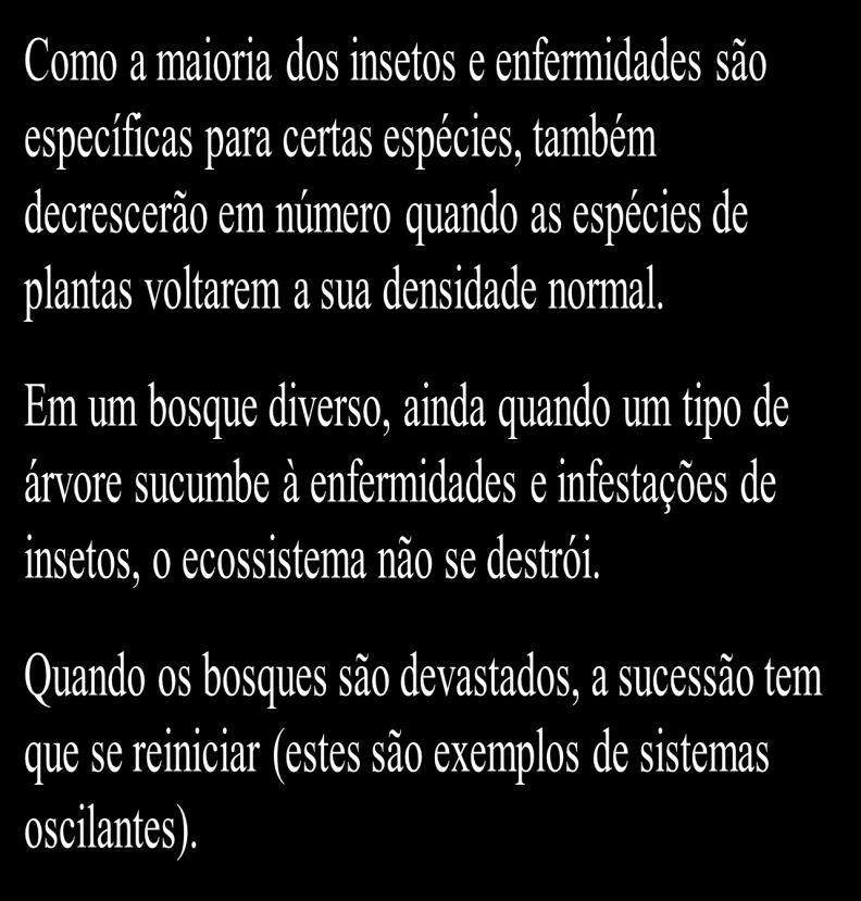 BOSQUE SUBTROPICAL PERENE Diversos insetos se alimentam de distintas partes de cada tipo de árvore ou planta.