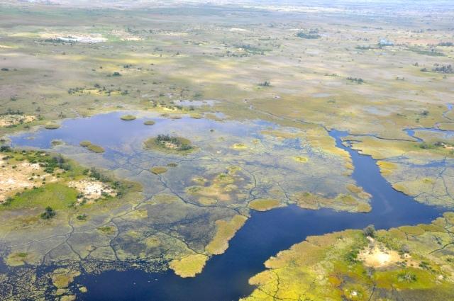 TIPOS DE DRENAGEM ENDORREICA: Os rios que deságuam em outros rios ou lagos. Ex: Rio Paraná, Rio Negro.