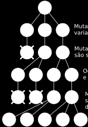 Variação permanente resultante de Mutação Mutação cria variação Mutação desfavorável é selecionada contra