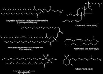 Capítulo 8 Lípidos Os lípidos podem ser descritos como substâncias solúveis em solventes orgânicos e incluem gorduras, óleos, ceras, colesterol, esteróis e as quatro vitaminas lipossolúveis (A, D, E