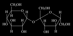 Fig. 9.4 Sacarose, o dissacárido mais abundante na natureza. A partir de dez unidades monoméricas, os hidratos de carbono são habitualmente designados polissacáridos.