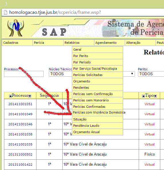 5. CONSULTA A PROCESSOS COM VIOLÊNCIA DOMÉSTICA NO SISTEMA DE AGENDAMENTO DE PERÍCIAS A consulta a processos com casos de violência doméstica
