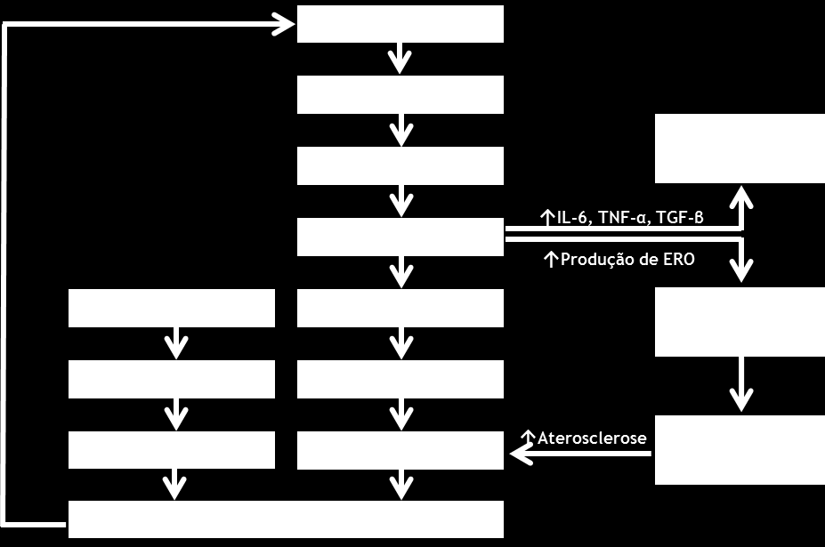 falência sequencial de outros órgãos contribui para a disfunção cardíaca. O sistema neuroendócrino encontra-se igualmente envolvido (SNS, SRAA). 3.3.3 A Conexão Cardiorenal Segundo Bongartz et al.