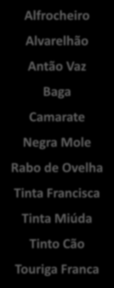 Baga Camarate Negra Mole Rabo de Ovelha Tinta