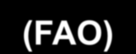 Dexter P. FAO Technical Consultation on Food Fortification: Technology and Quality Control.