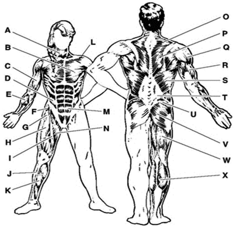 O alongamento no final de cada exercício é uma maneira eficaz de aumentar a flexibilidade. MANTENHA-SE MOTIVADO Para Manter-se motivado, crie um registro dos seus exercícios.